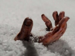 На Херсонщине замерзла на улице насмерть