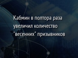 Кабмин в полтора раза увеличил количество "весенних" призывников