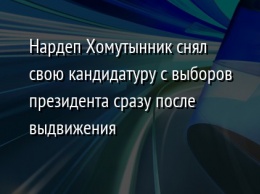 Нардеп Хомутынник снял свою кандидатуру с выборов президента сразу после выдвижения