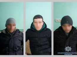 Под Киевом задержали троих иностранцев-нелегалов