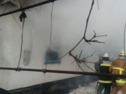 На Днепропетровщине во время пожара пострадали четырехлетние дети (ФОТО)