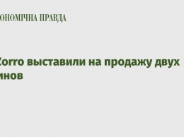 ProZorro выставили на продажу двух ленинов