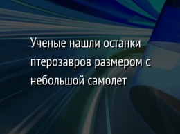 Ученые нашли останки птерозавров размером с небольшой самолет