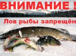 С 1 апреля в "ЛНР" запретят ловить рыбу: список "разрешенных мест" и реакция местных жителей