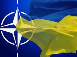 На Харьковщине в рамках программы «НАТО-Украина» начались переподготовку военных