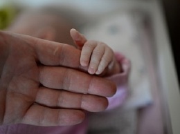 В Бердянском районе мать живым закопала новорожденного ребенка