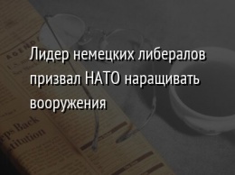 Лидер немецких либералов призвал НАТО наращивать вооружения