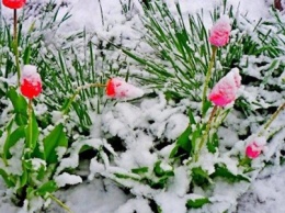 В Украину пришла весна с капризным теплом: синоптики уточнили прогноз на неделю