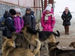 Под Одессой бездомные собаки разорвали первоклассницу
