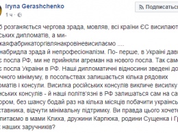 Украина не высылает российских дипломатов из-за политзаключенных - Геращенко