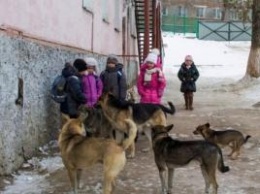 В Одесской области свора собак разорвала 6-летнюю девочку