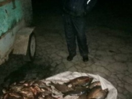 У задержанного браконьера изъяли 57 килограмм рыбы