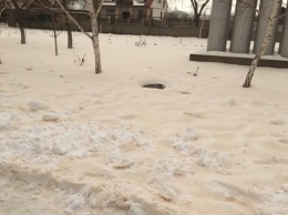 Запорожские экологи прокомментировали происхождение желтого снега, выпавшего в городе