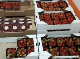 Экспорт ягод из Украины к 2020г. может достичь 57 тыс. тонн - эксперт