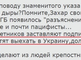 Жители "ДНР" возмущены указом Захарченко для Донбасса: серьезный запрет в отношении Украины получил разъяснение