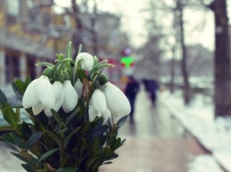 «Зима, до свидания!»: в Черноморск идет потепление