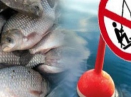 Нерест-02018: на водоемах Сумщины с 1 апреля запрещена рыбалка
