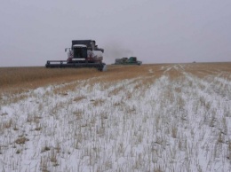На Херсонщине из-за мартовской непогоды прогнозируют снижение урожая зерновых культур