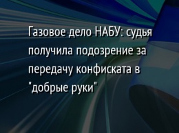 Газовое дело НАБУ: судья получила подозрение за передачу конфиската в "добрые руки"