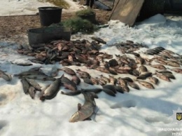 Полиция Днепра задержала браконьеров, выловивших 120 кг рыбы на территории заповедника