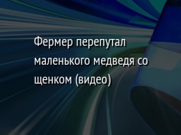 Фермер перепутал маленького медведя со щенком (видео)