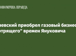 Злочевский приобрел газовый бизнес "смотрящего" времен Януковича