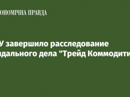 НАБУ завершило расследование скандального дела "Трейд Коммодити"