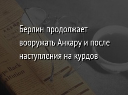 Берлин продолжает вооружать Анкару и после наступления на курдов