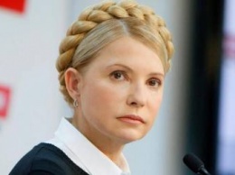 Декларация Тимошенко: арендует дом и 4 земучастка под Киевом