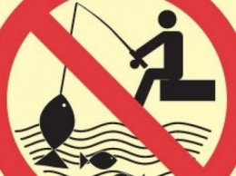 Внимание рыболовам Славянска! Действует запрет на ловлю рыбы