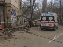 Из-за сильного ветра в Одессе упало несколько деревьев: есть пострадавшие (фото)