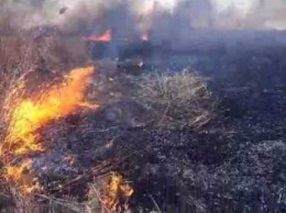 Запорожские спасатели за сутки ликвидировали 9 пожаров на открытых территориях