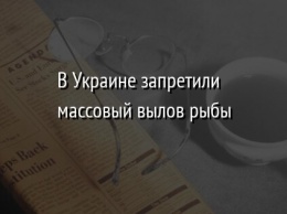 В Украине запретили массовый вылов рыбы