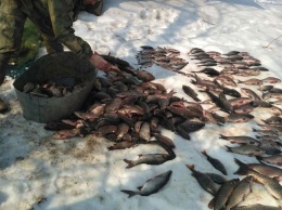 После запрета рыбалки на Днепропетропщине активизировались браконьеры