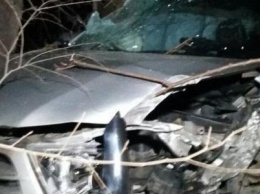 ДТП в Кривого Рога: "Toyota" зацепила две легковушки и влетела в столб (ФОТО)