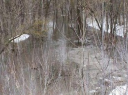 В Луганской области начался паводок (ФОТО)