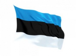 Украинцы зарегистрировали в Эстонии наибольшее количество компаний карточкой э-резидента