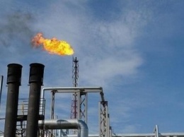 Regal Petroleum получила $2,3 млн чистой годовой прибыли