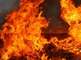 В Житомирской области на пожаре в жилом доме погибли двое маленьких детей