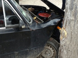 В Одесской области пьяный водитель "Жигулей" гонял по тротуару и врезался в дерево (ФОТО)