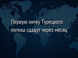 Первую нитку Турецкого потока сдадут через месяц