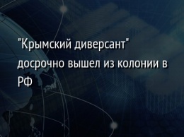 "Крымский диверсант" досрочно вышел из колонии в РФ