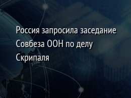 Россия запросила заседание Совбеза ООН по делу Скрипаля