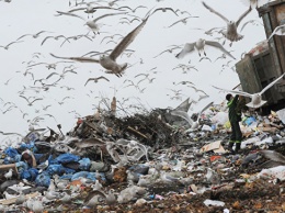 Российские ученые научились перерабатывать мусор без вредных выбросов