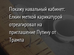 Покажу навальный кабинет: Елкин меткой карикатурой отреагировал на приглашение Путину от Трампа