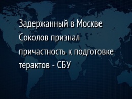 Задержанный в Москве Соколов признал причастность к подготовке терактов - СБУ