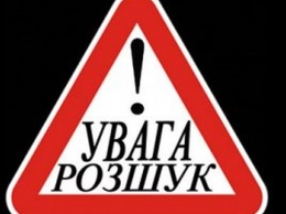 Полиция разыскивает: в Витовском районе неизвестные угнали неисправный автомобиль «Газель»