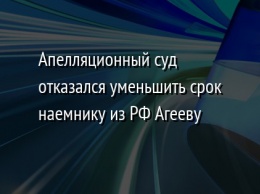 Апелляционный суд отказался уменьшить срок наемнику из РФ Агееву