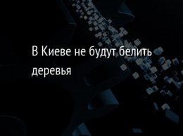 В Киеве не будут белить деревья