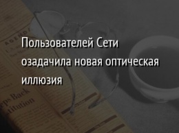 Пользователей Сети озадачила новая оптическая иллюзия